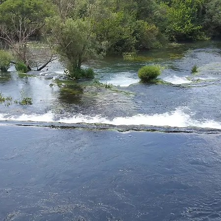 Iva Vikendica Trbounje